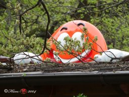 Ostersonntagspaziergang durch den Böhmischen Prater